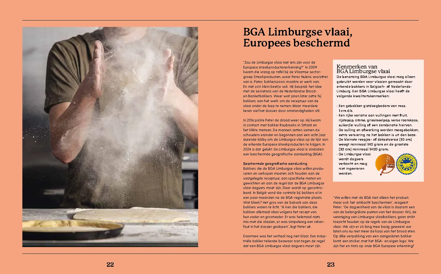 Voorbeeld pagina