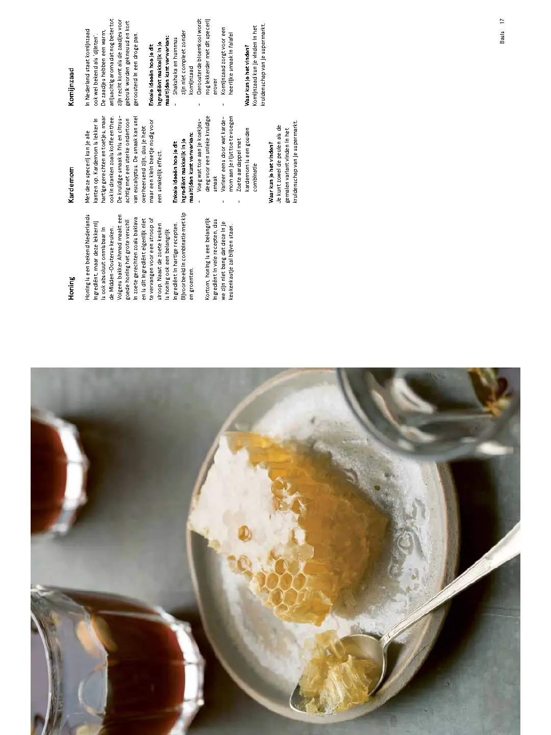 Voorbeeld pagina