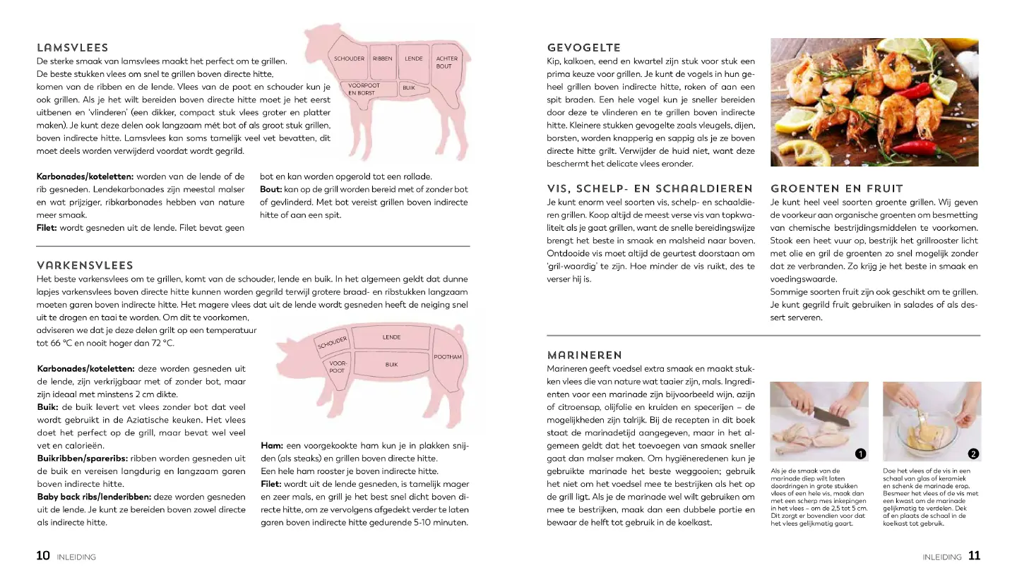 Voorbeeld pagina