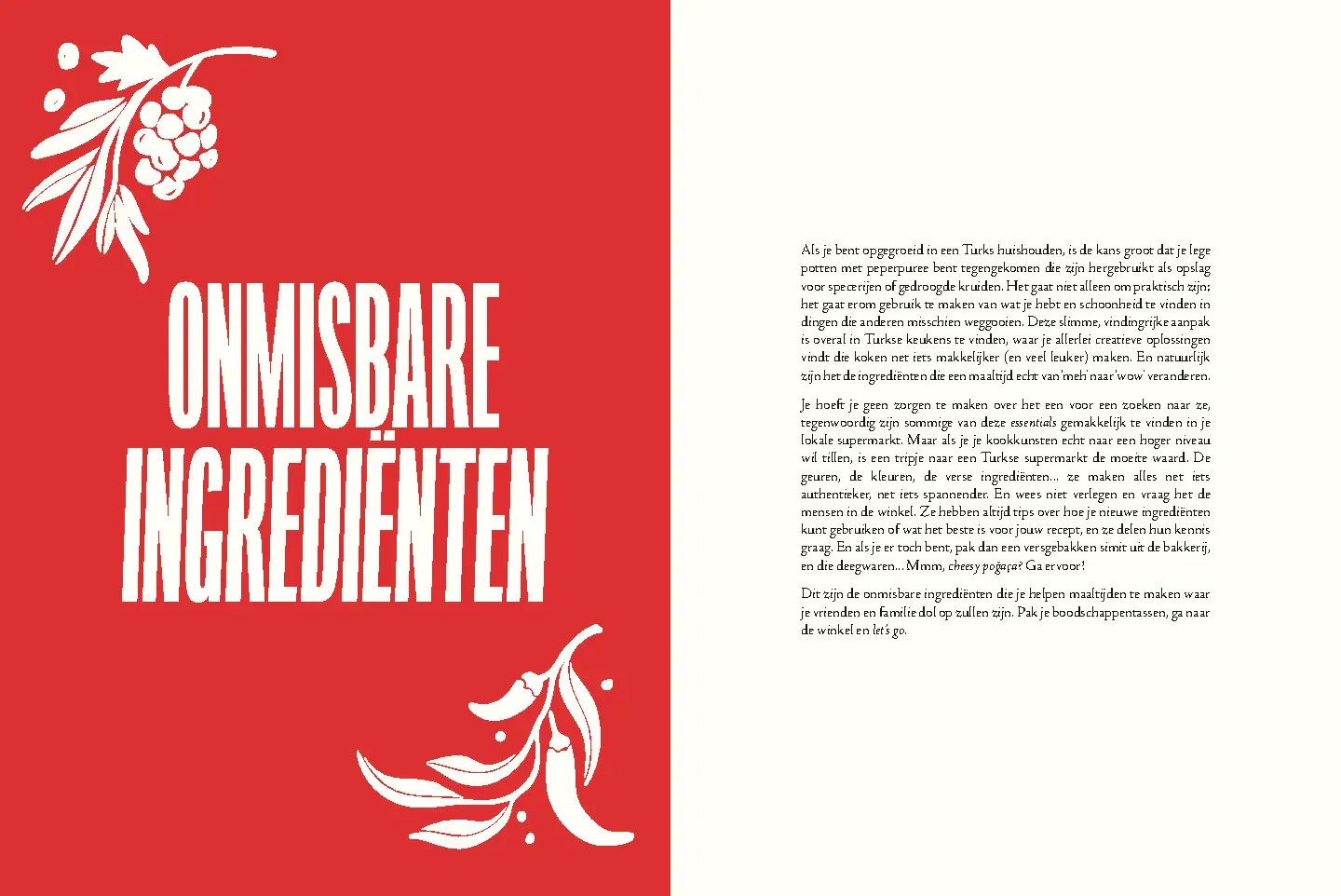 Voorbeeld pagina