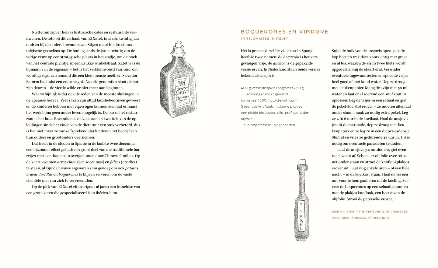 Voorbeeld pagina
