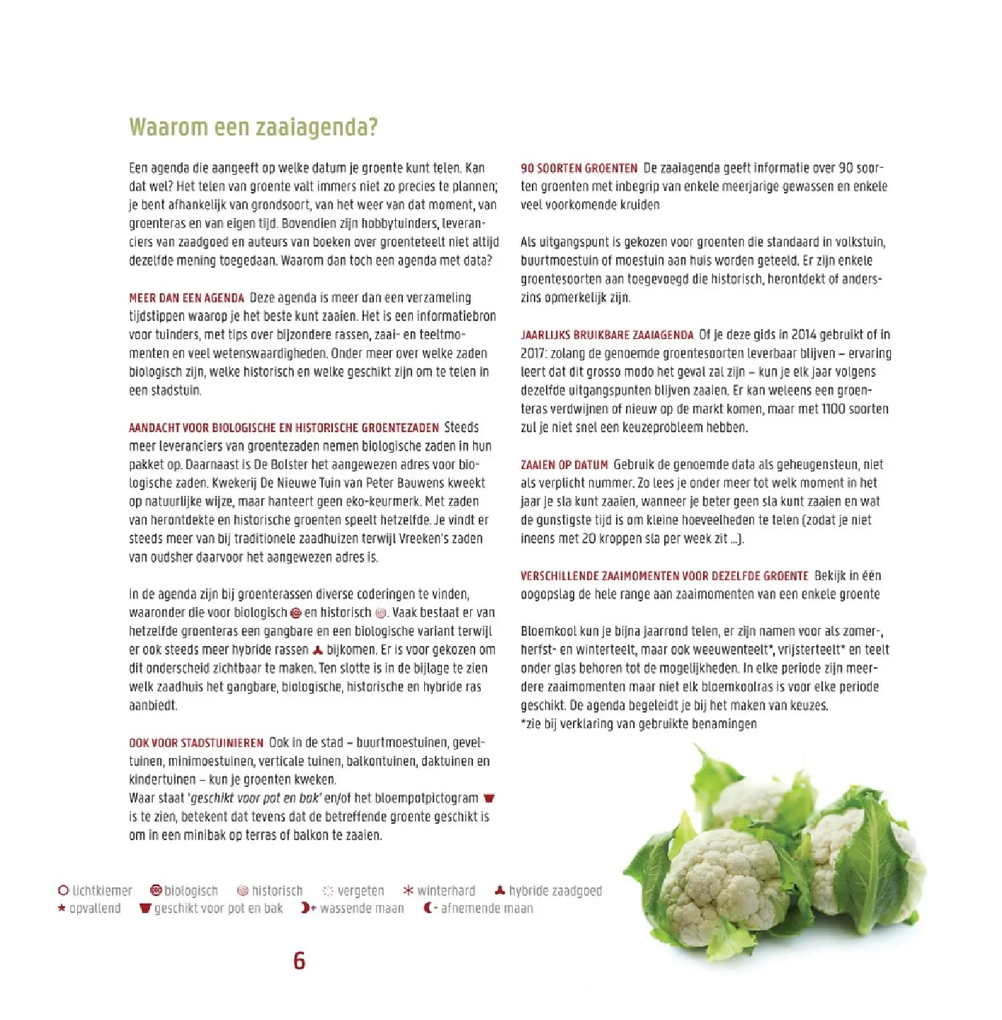 Voorbeeld pagina
