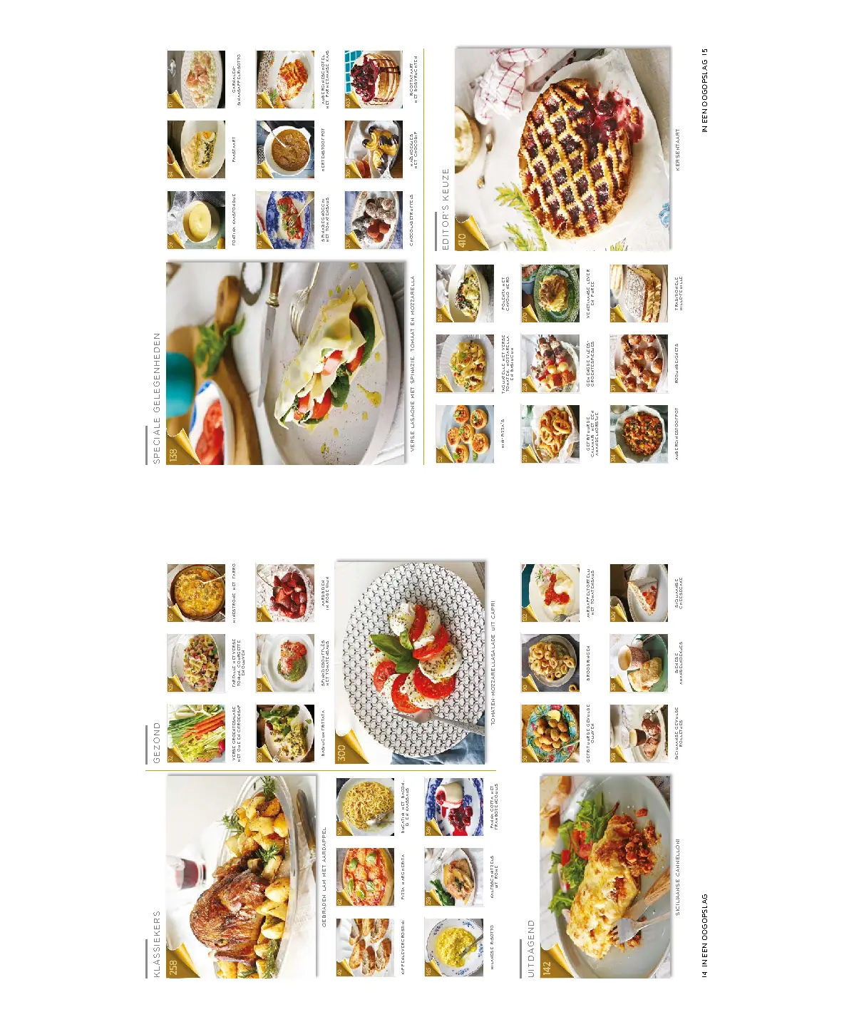 Voorbeeld pagina