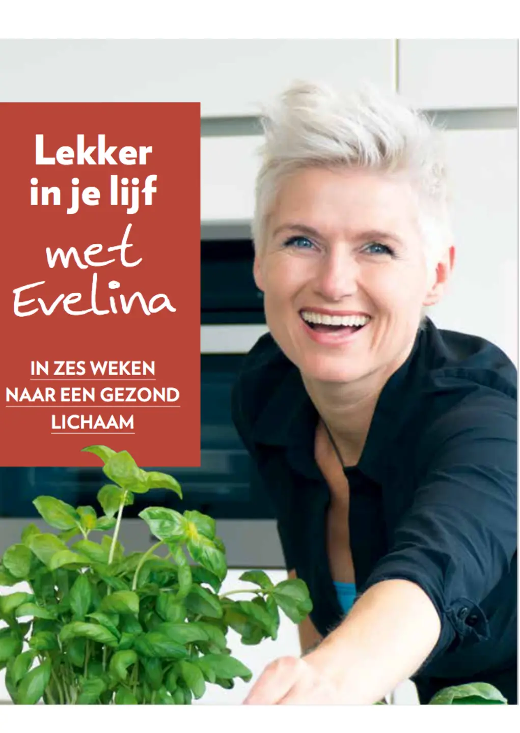 Voorbeeld pagina