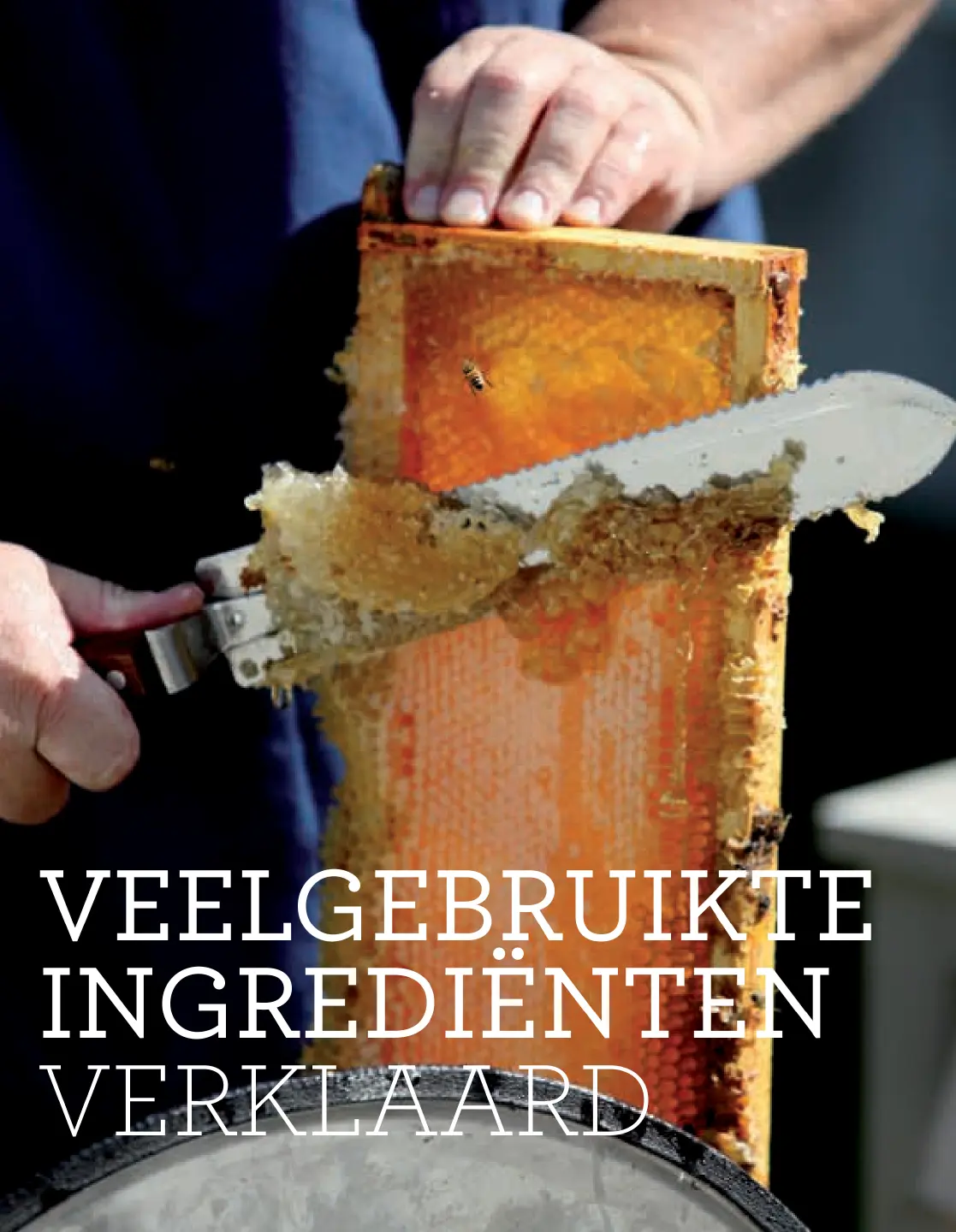 Voorbeeld pagina