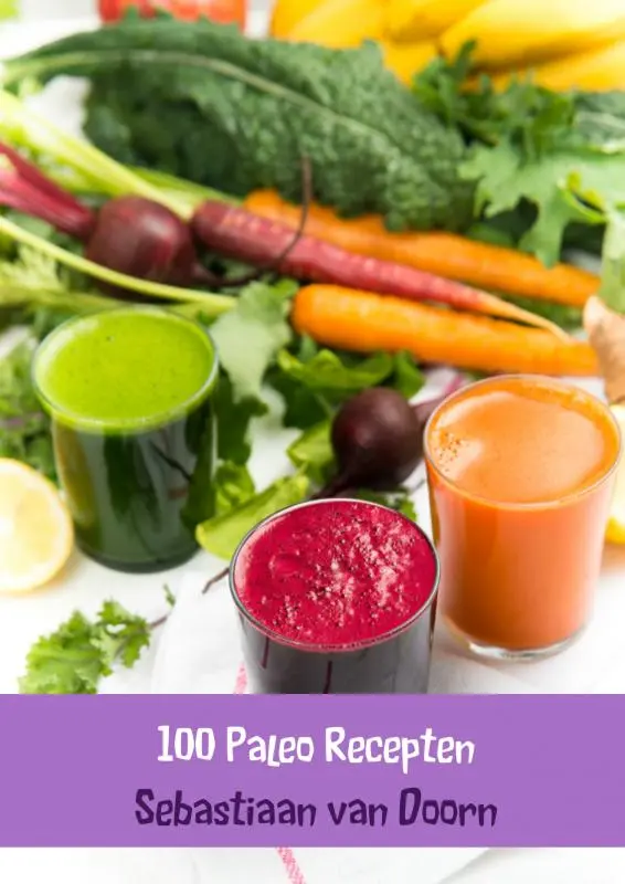 Cover van 100 Paleo Recepten