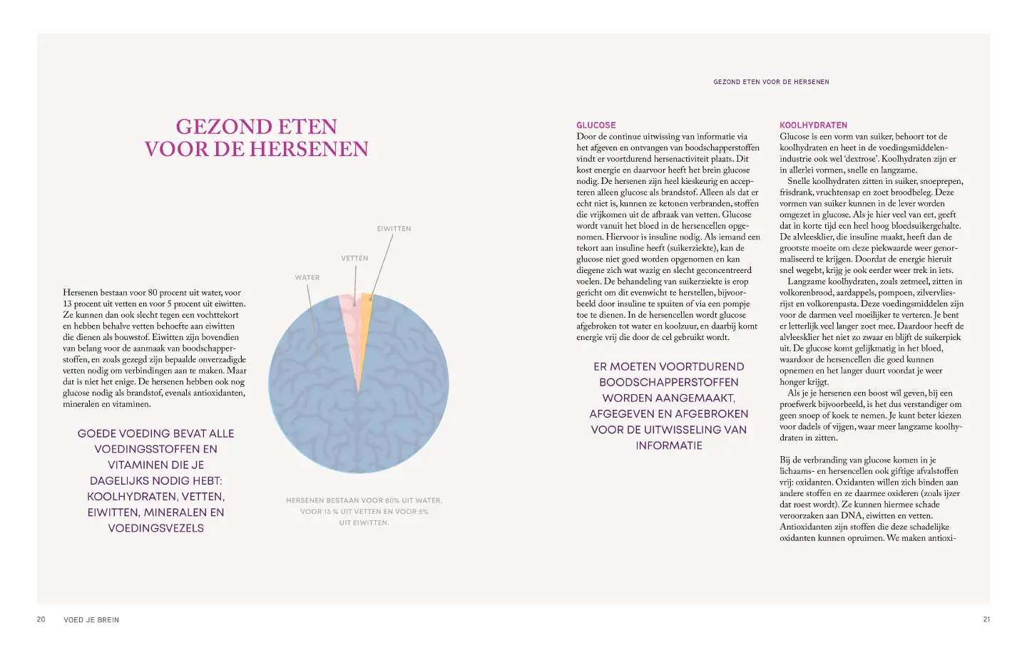 Voorbeeld pagina