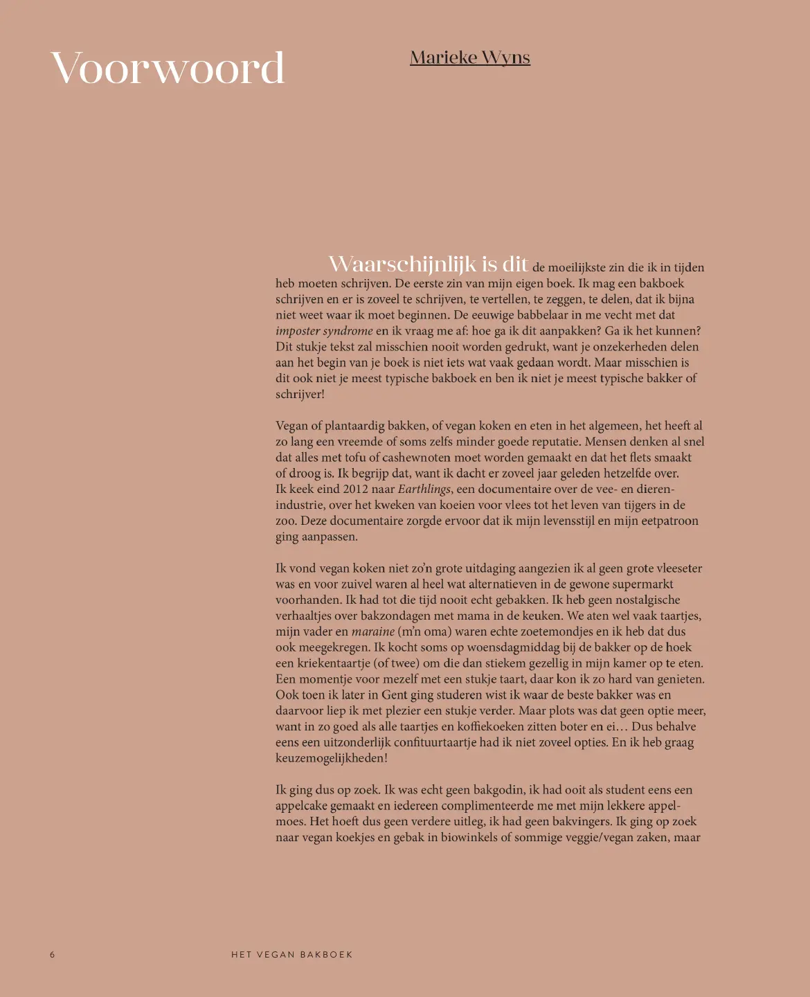 Voorbeeld pagina