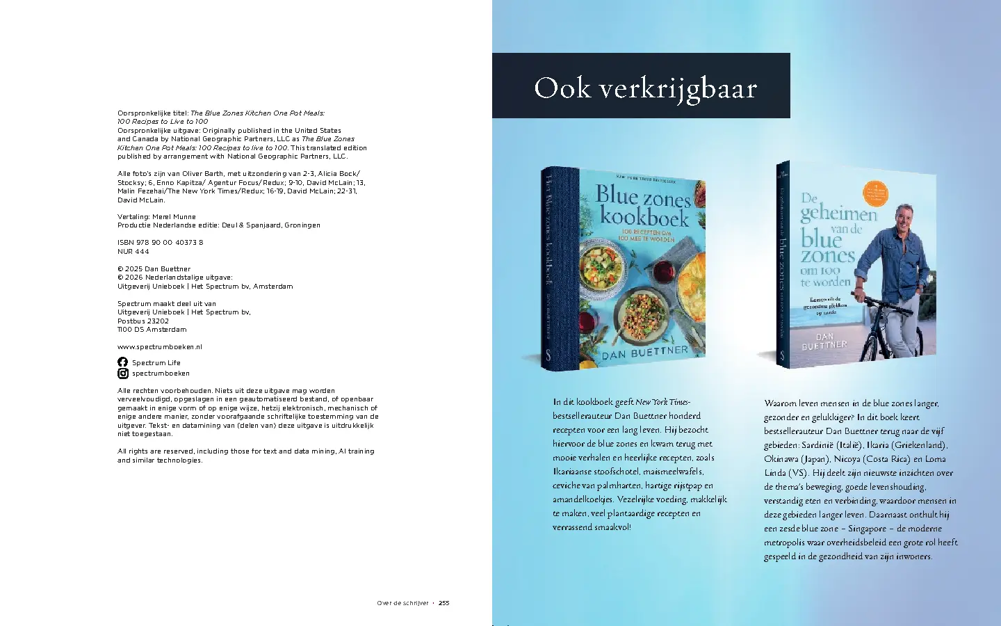 Voorbeeld pagina
