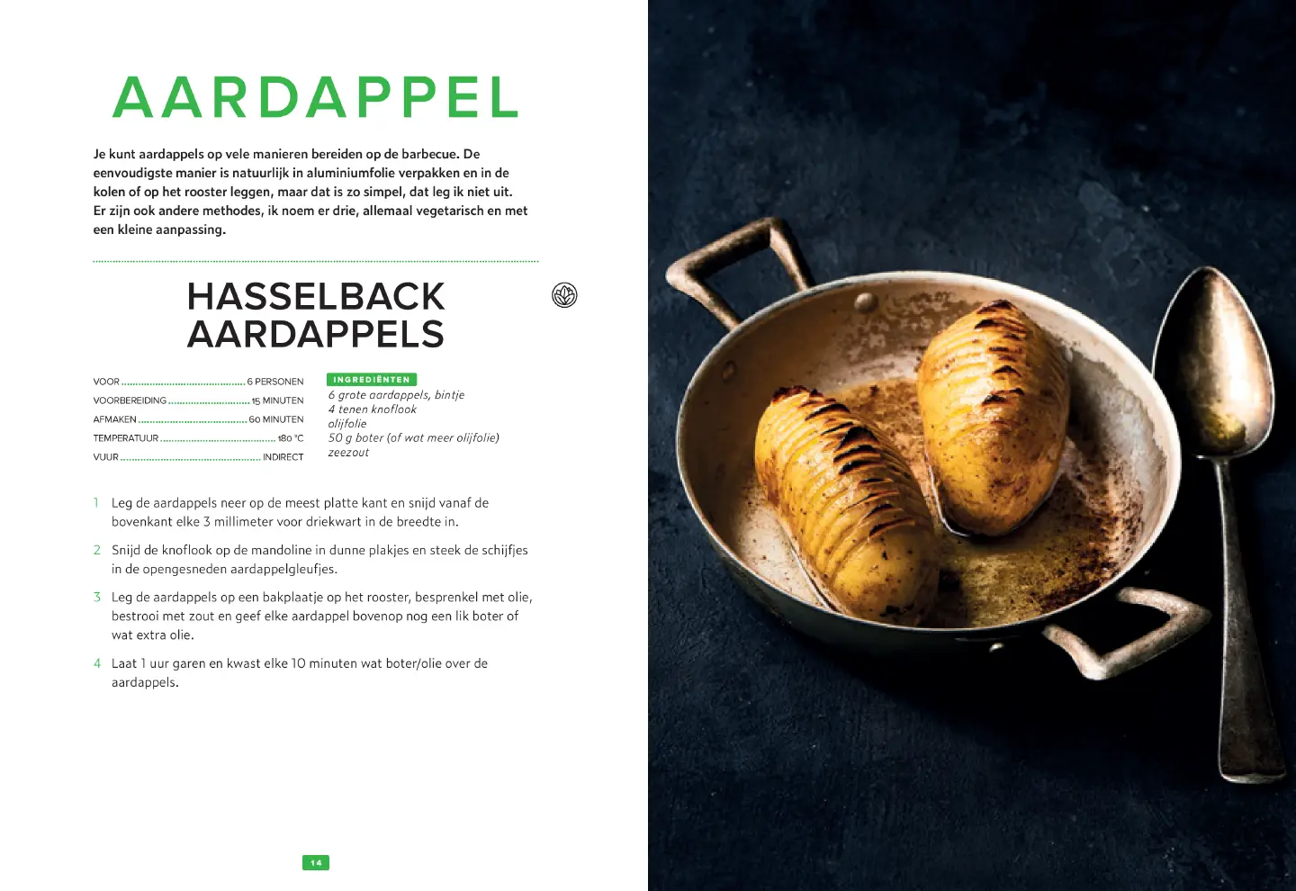 Voorbeeld pagina