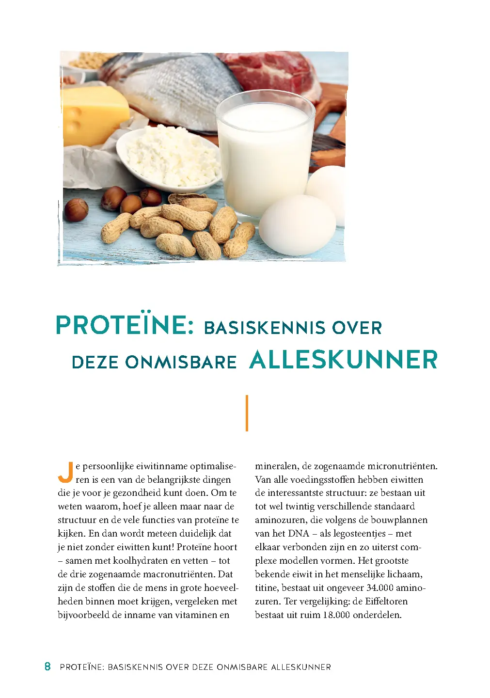 Voorbeeld pagina