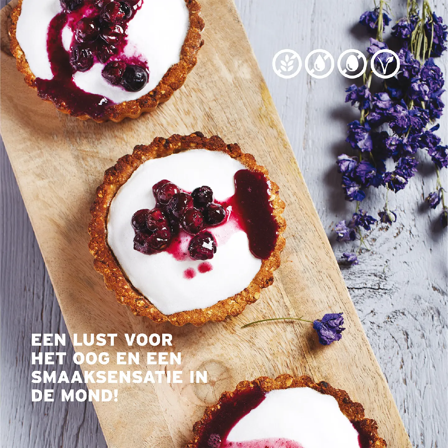 Voorbeeld pagina
