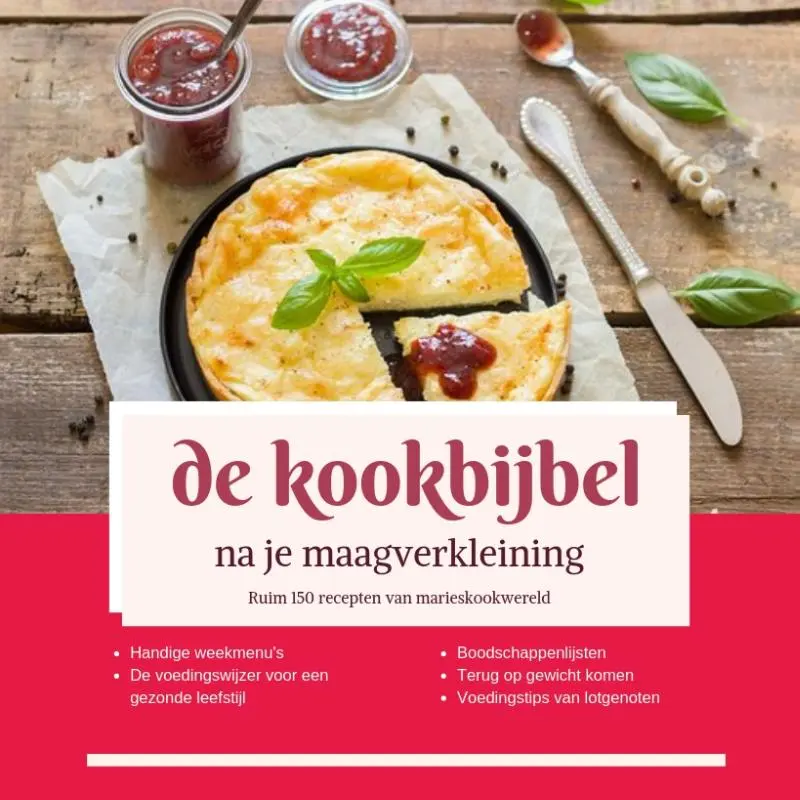 Cover van de Kookbijbel na je maagverkleining