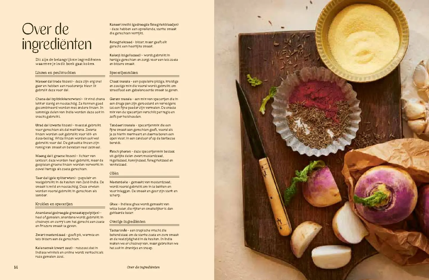 Voorbeeld pagina