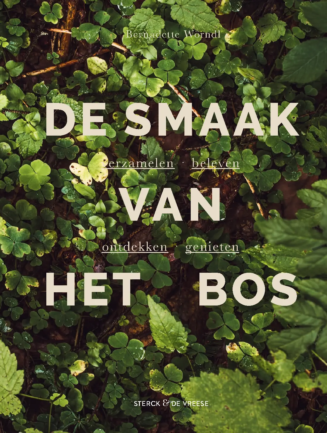 Voorbeeld pagina