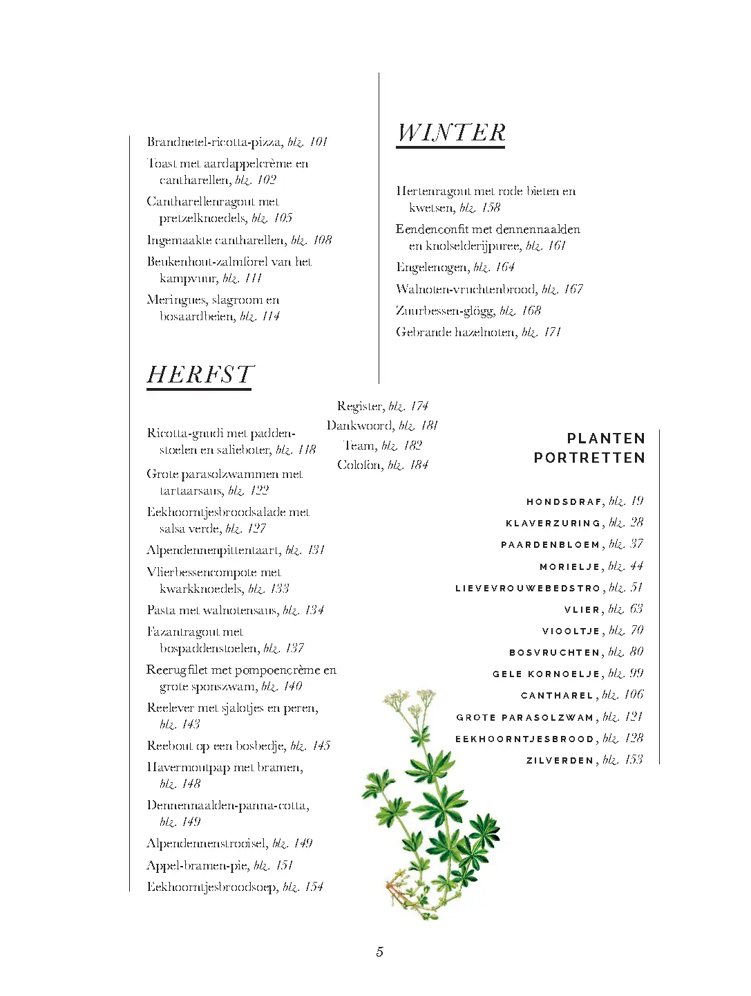 Voorbeeld pagina