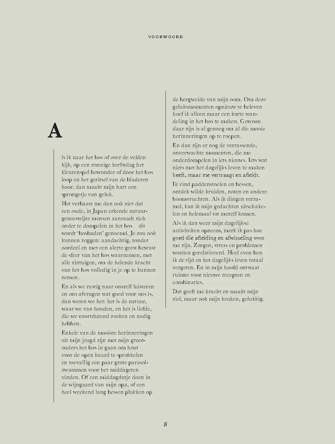Voorbeeld pagina