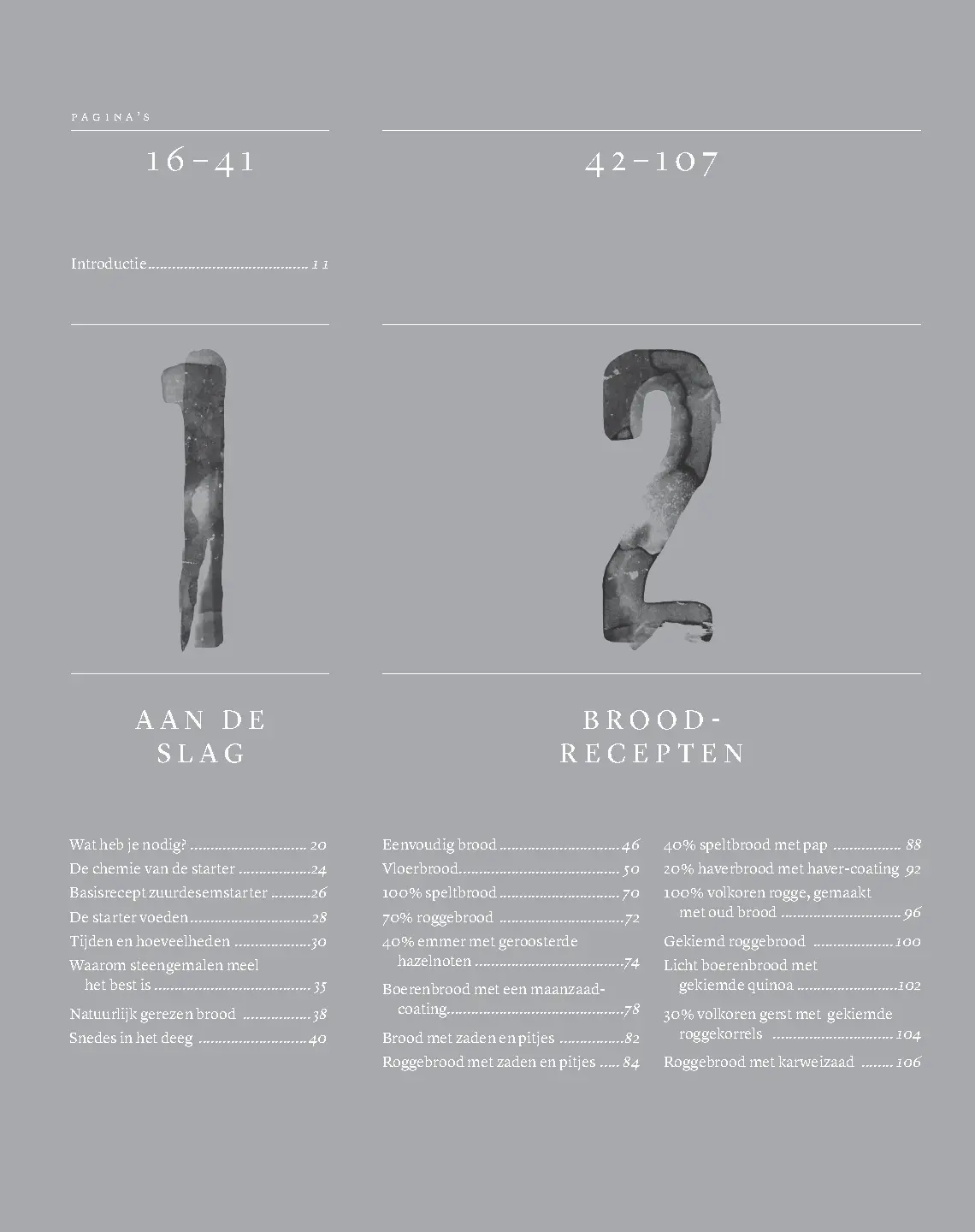 Voorbeeld pagina