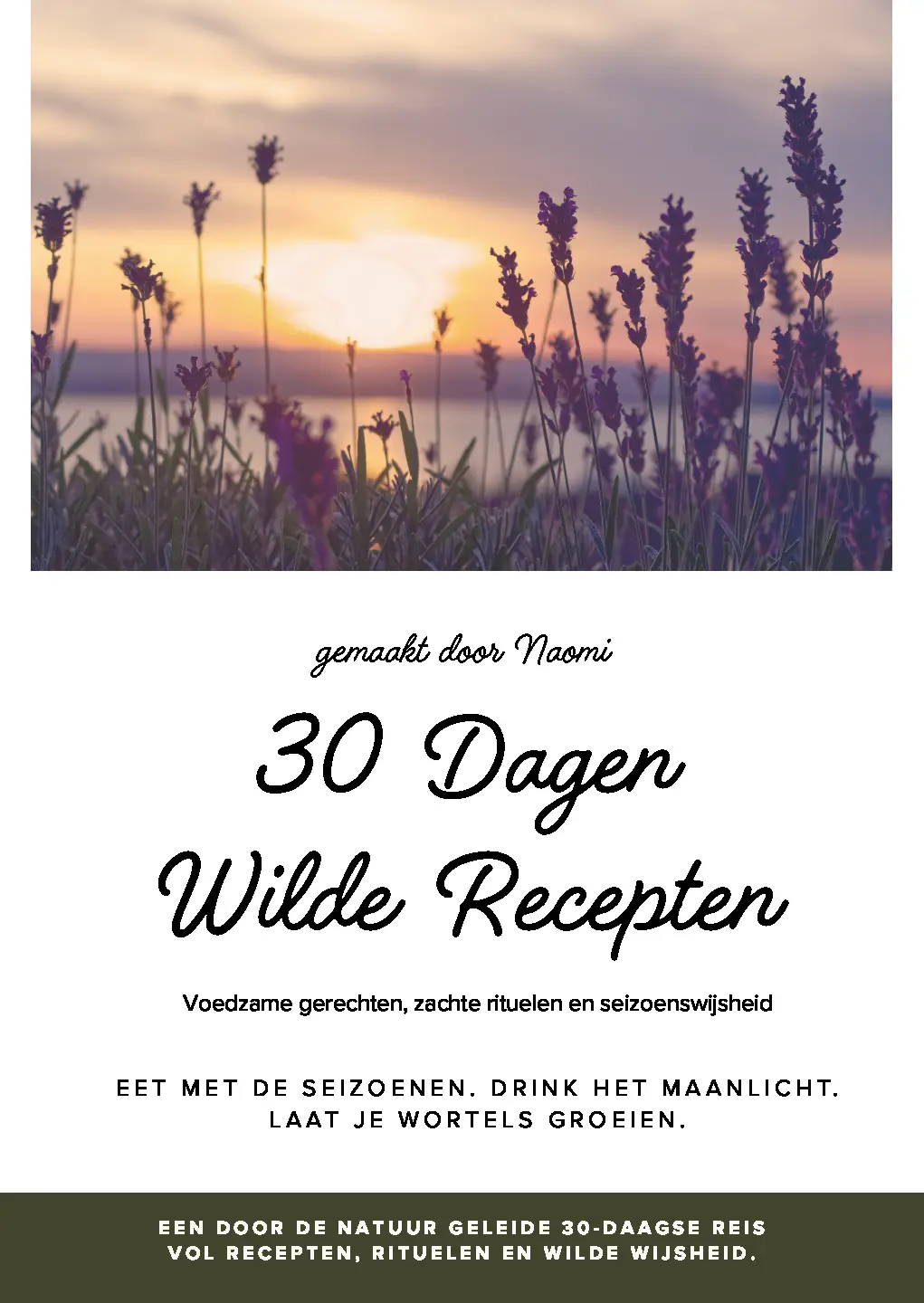 Voorbeeld pagina