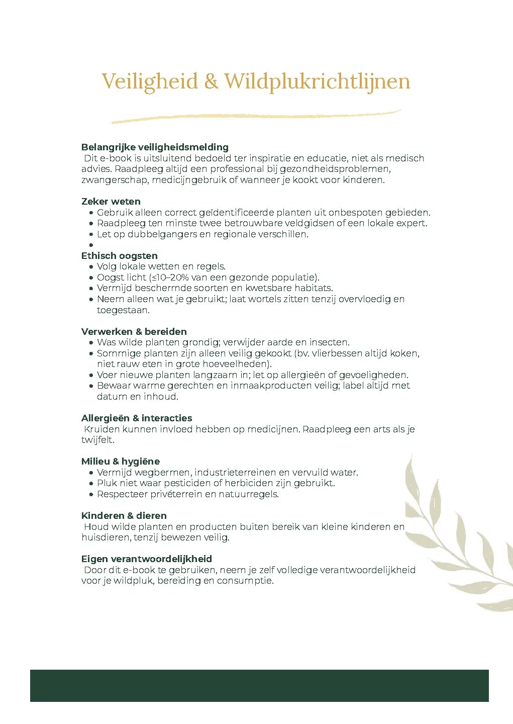 Voorbeeld pagina