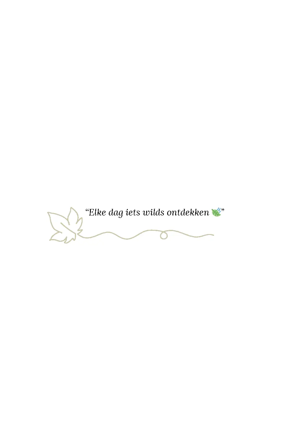 Voorbeeld pagina