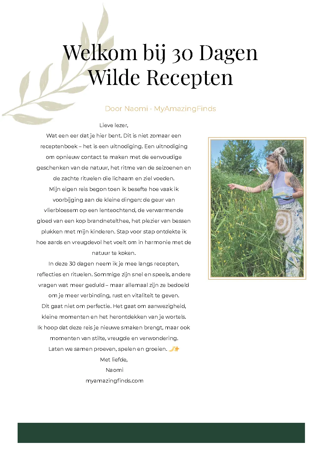 Voorbeeld pagina