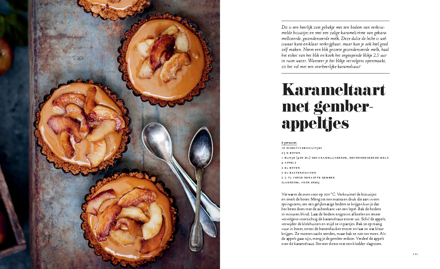 Voorbeeld pagina