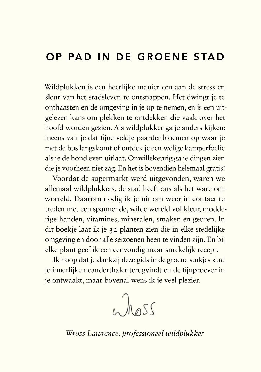 Voorbeeld pagina