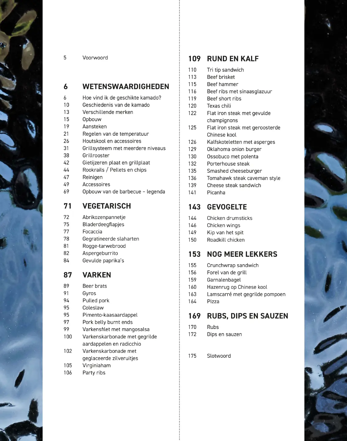 Voorbeeld pagina