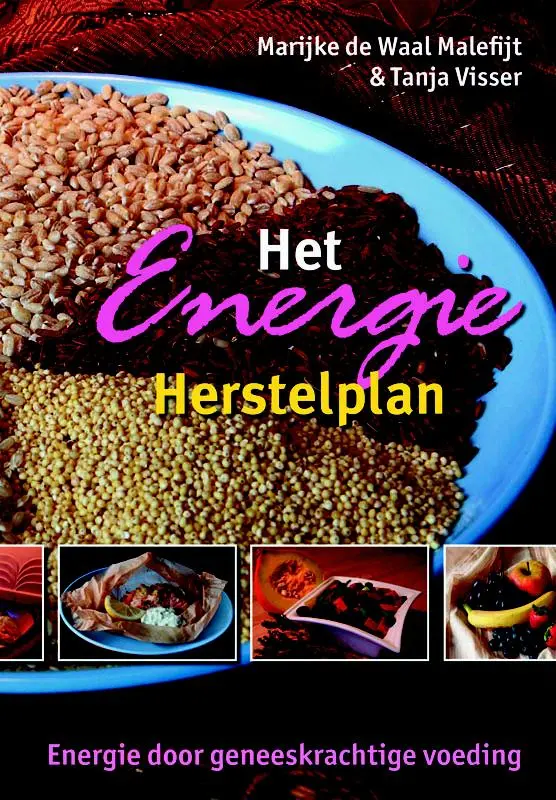 Cover van Het Energie Herstelplan