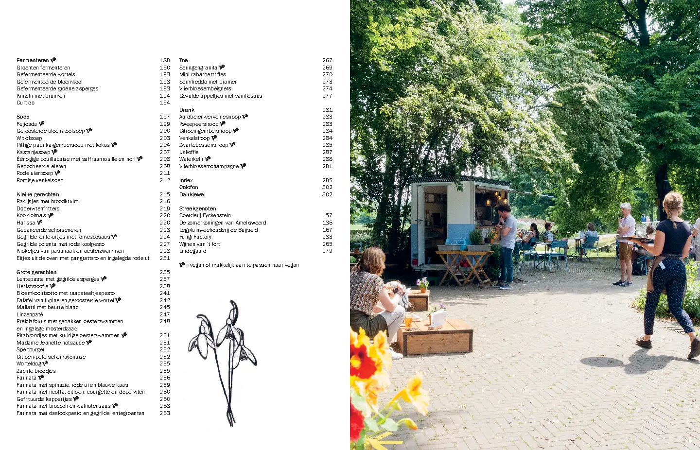 Voorbeeld pagina