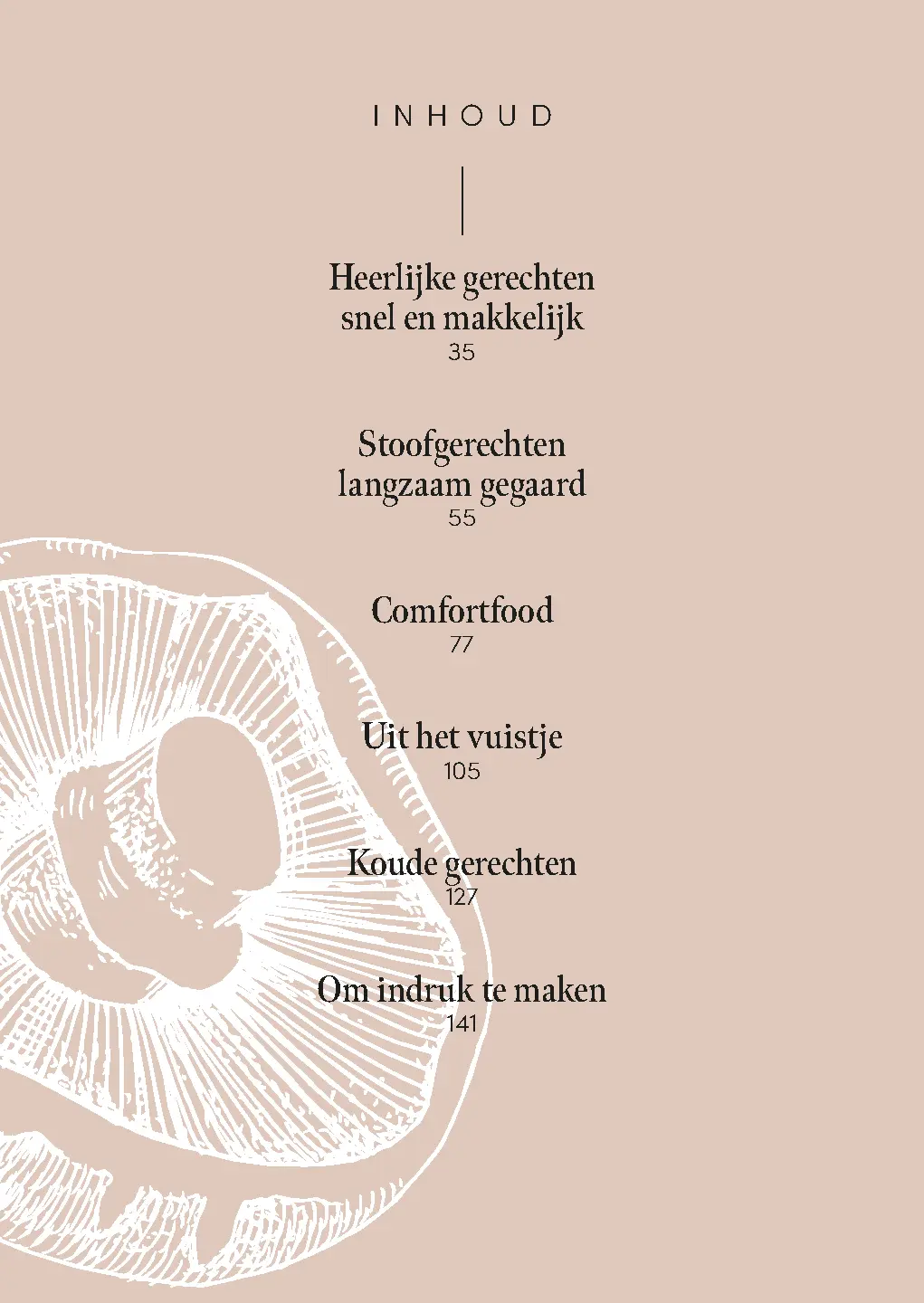 Voorbeeld pagina