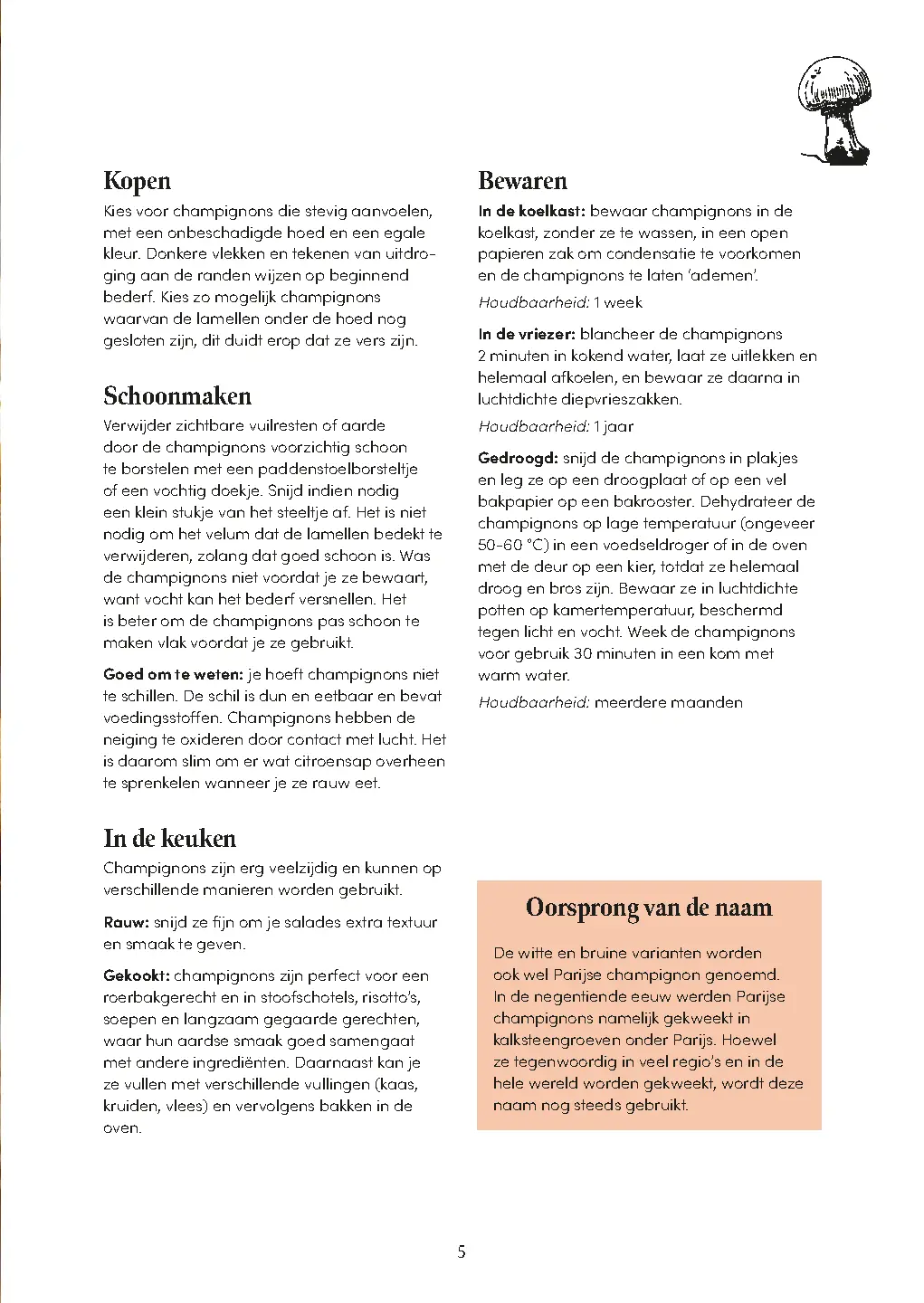 Voorbeeld pagina