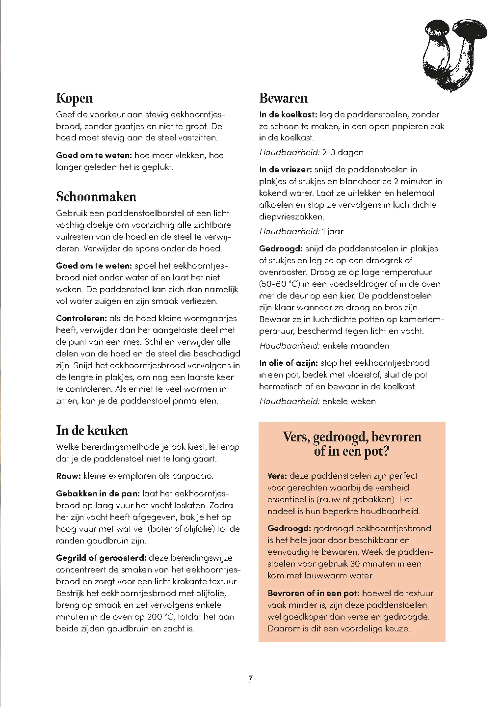 Voorbeeld pagina