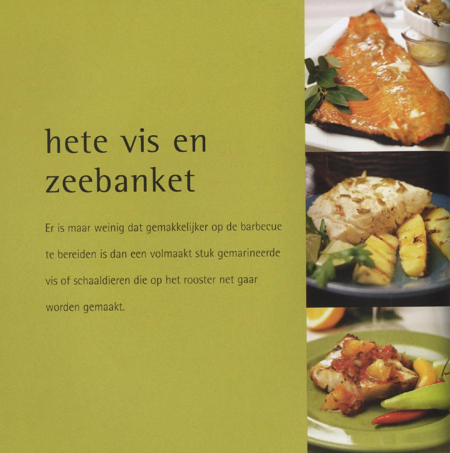 Voorbeeld pagina