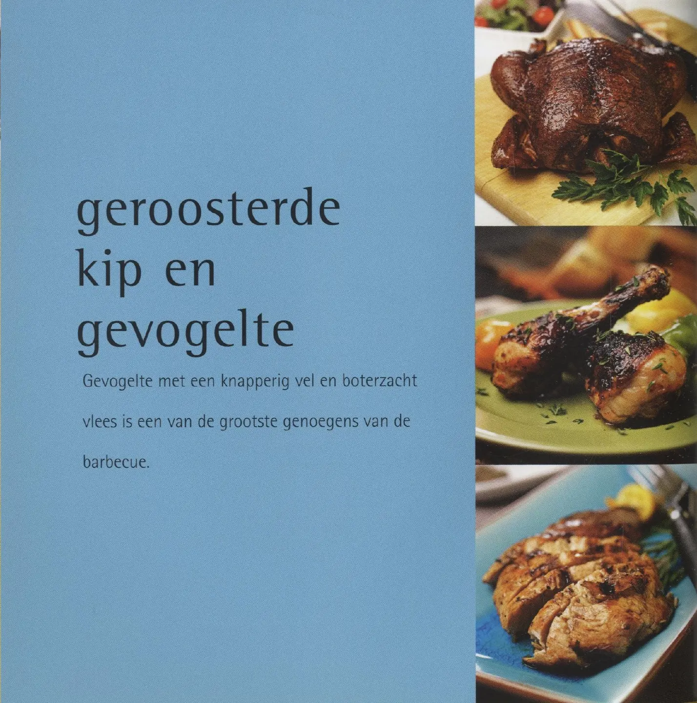 Voorbeeld pagina