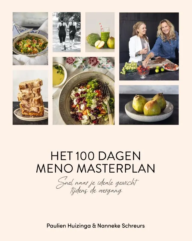 Cover van Het 100 dagen meno masterplan