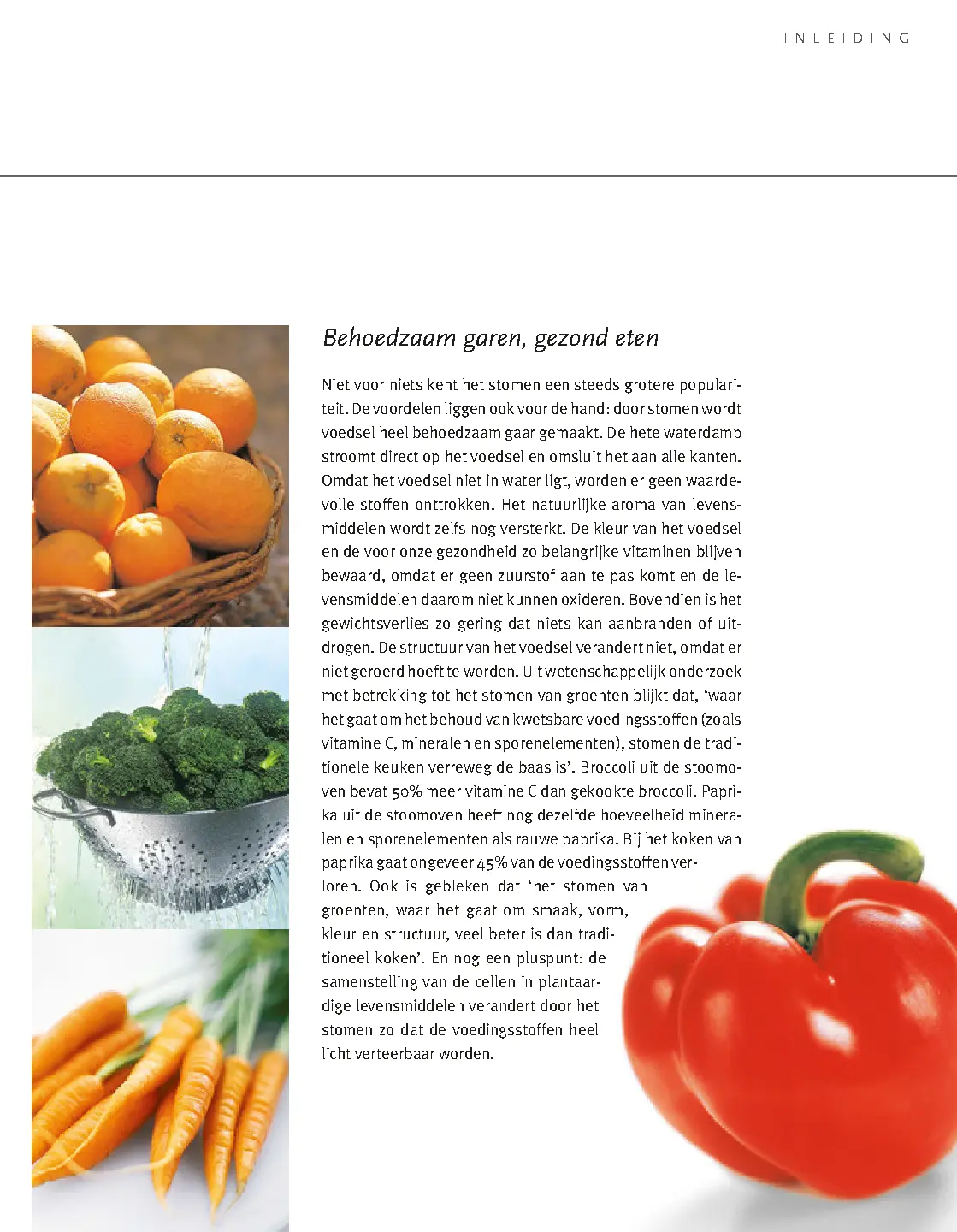 Voorbeeld pagina