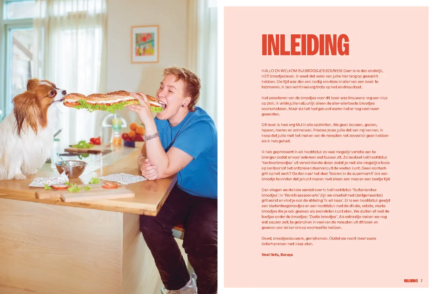 Voorbeeld pagina
