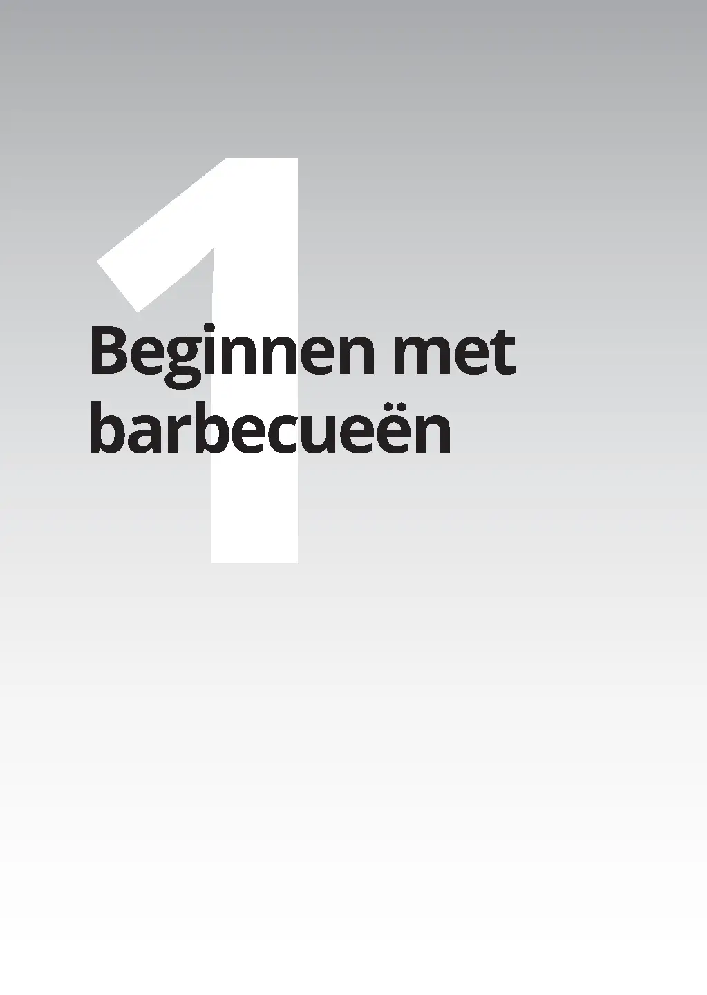 Voorbeeld pagina