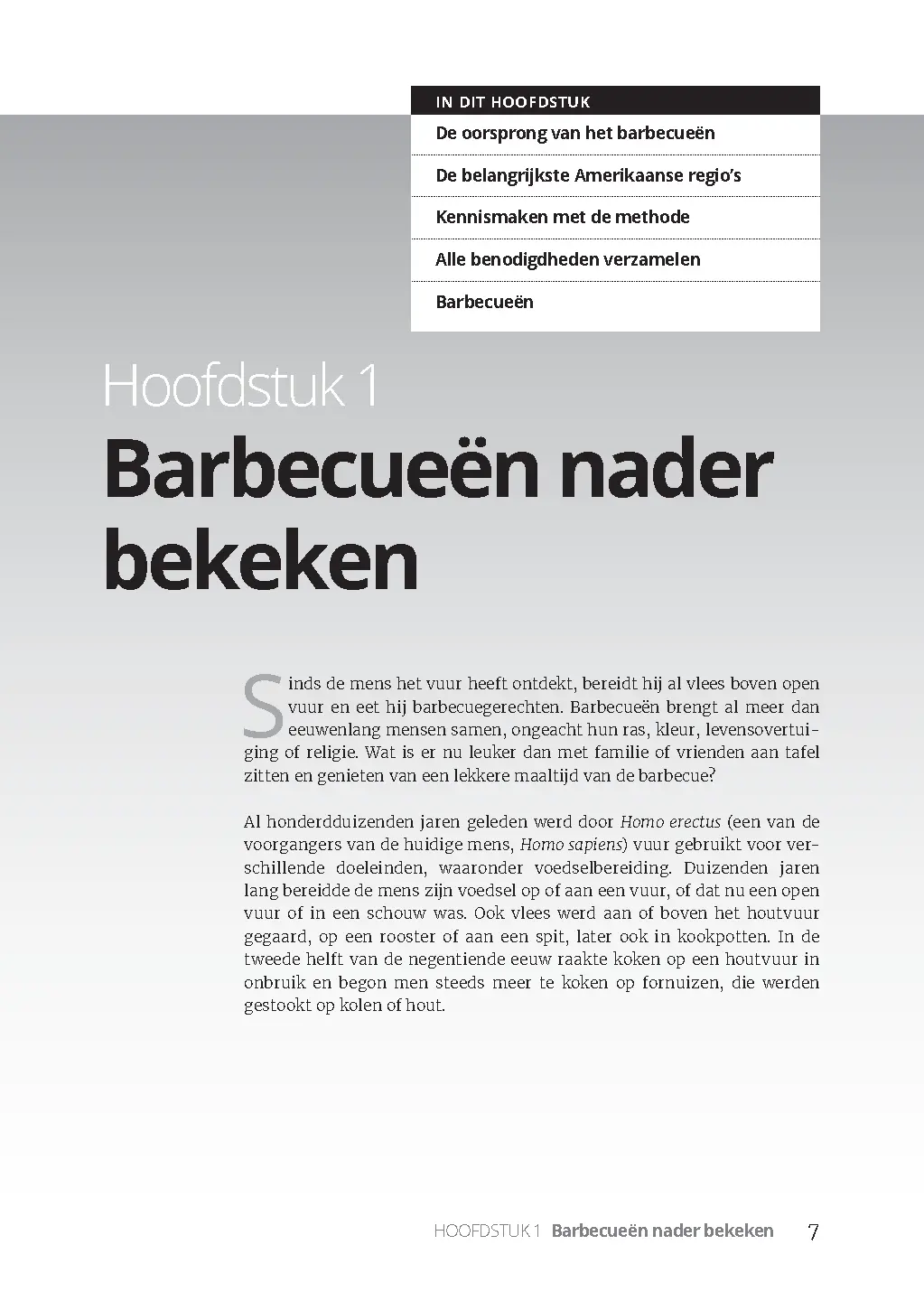 Voorbeeld pagina