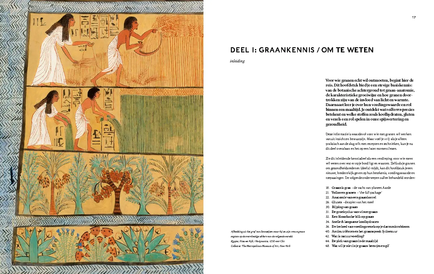 Voorbeeld pagina