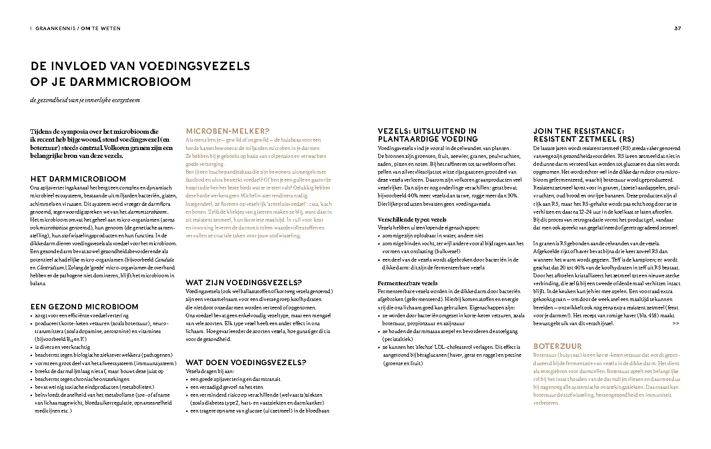Voorbeeld pagina