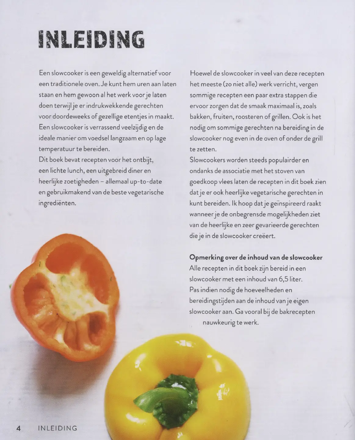 Voorbeeld pagina