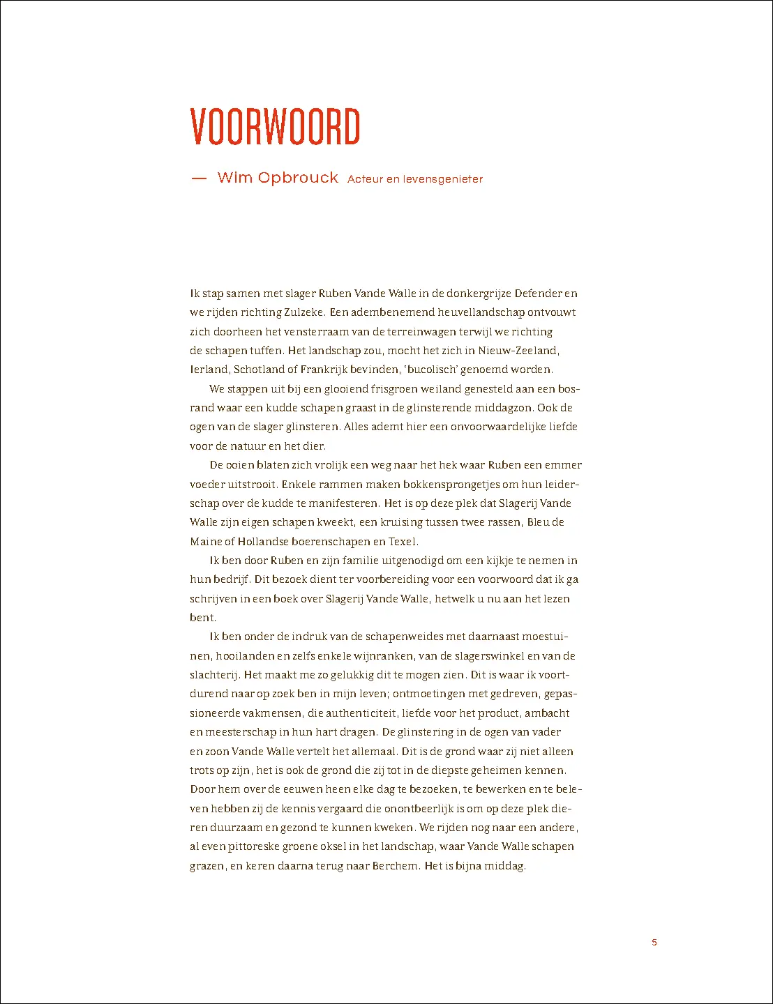 Voorbeeld pagina