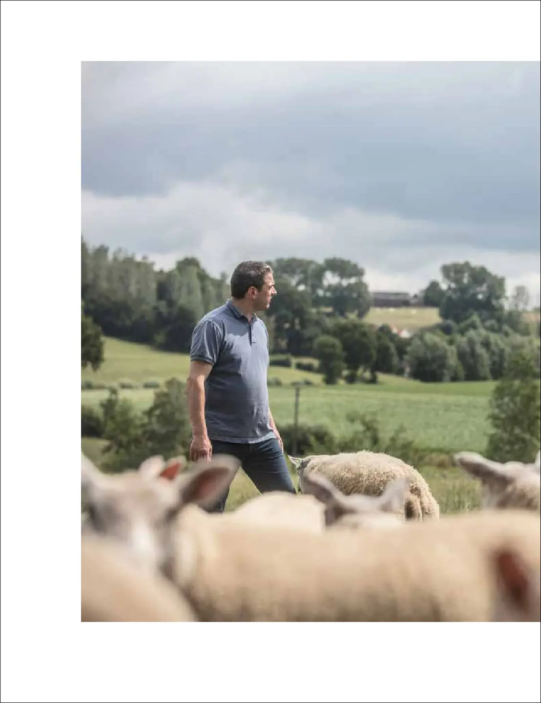 Voorbeeld pagina