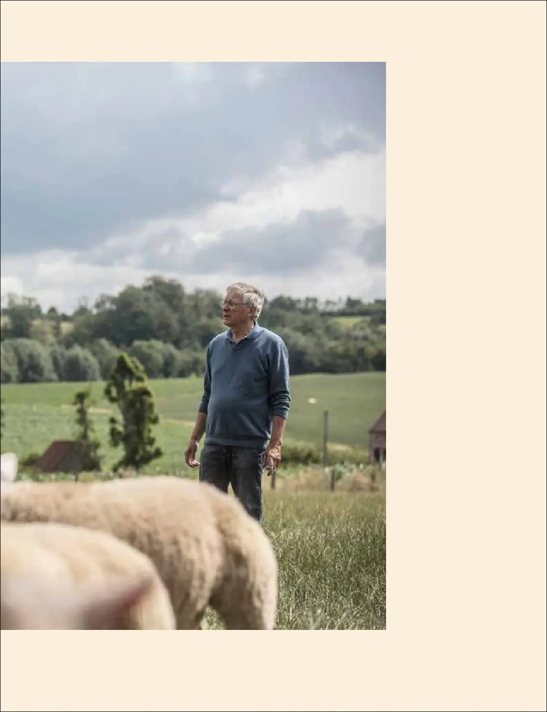 Voorbeeld pagina