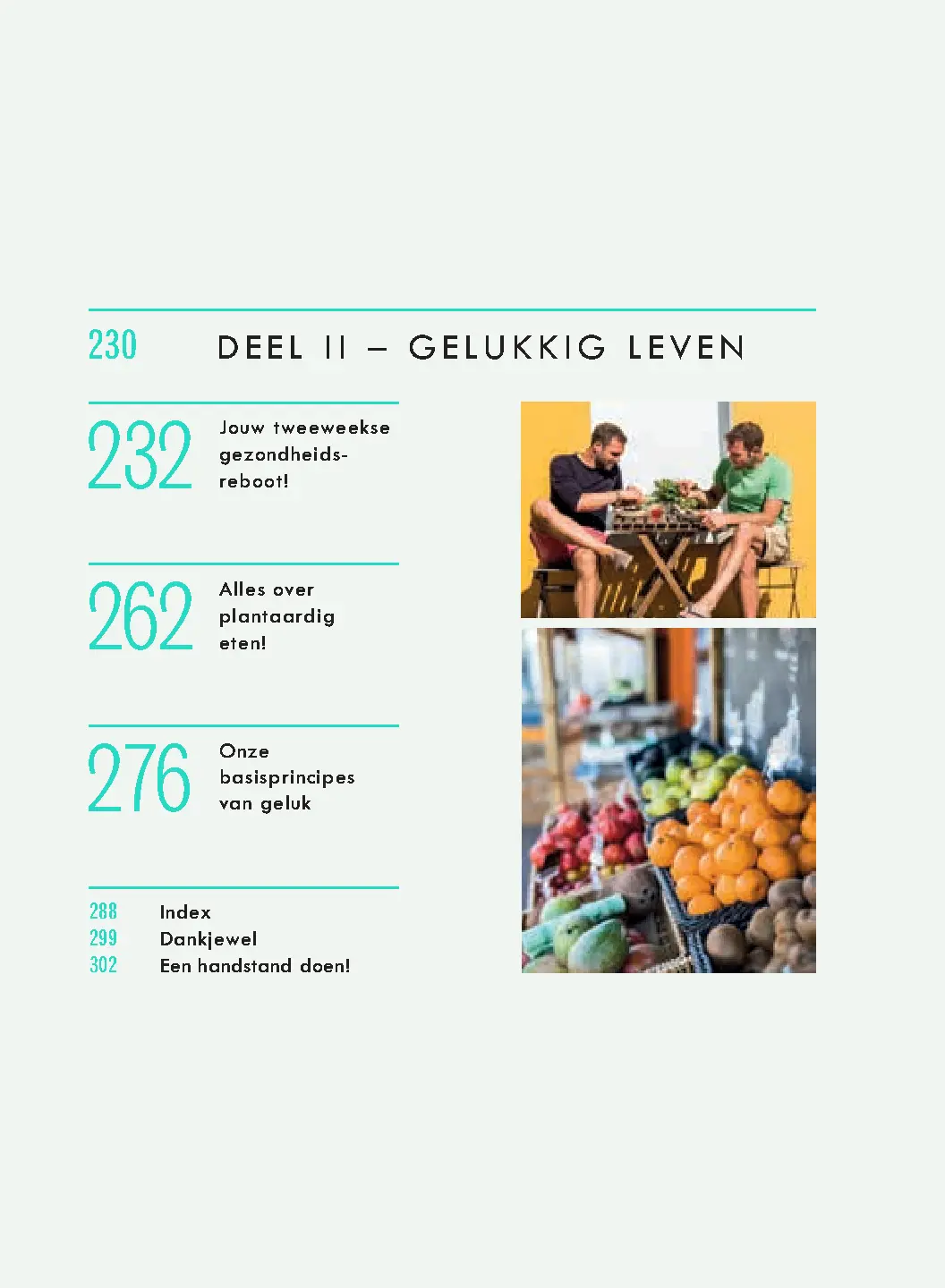 Voorbeeld pagina