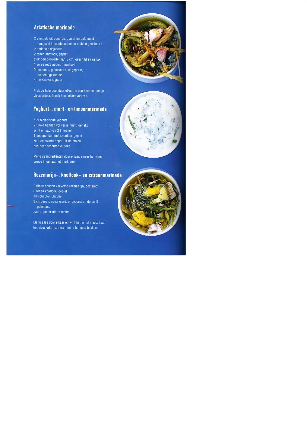 Voorbeeld pagina