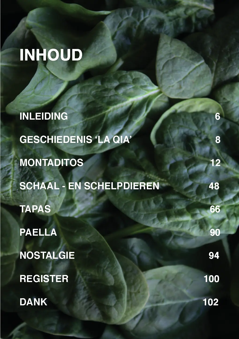 Voorbeeld pagina